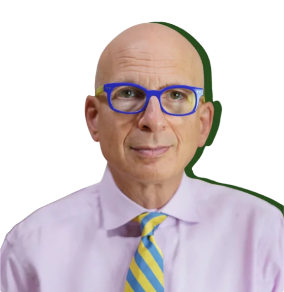 Seth Godin