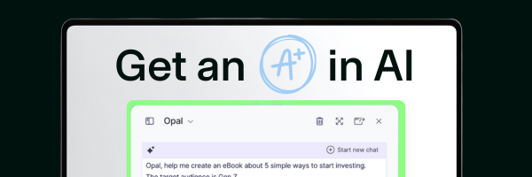 AI Playbook Cover
